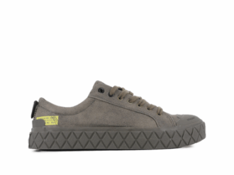 palla ace lo surplus 1 3 330x247 - Palla Ace Lo Surplus