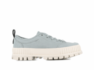 Pallashock Lo Organik 2