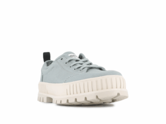 Pallashock Lo Organik 2