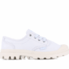 Pampa Oxford