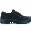 Pampa Oxford