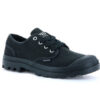 Pampa Oxford