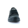 Pampa Oxford