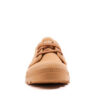 Pampa Oxford
